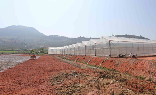 Hồ Đankia - Suối Vàng bị san ủi, lấn chiếm